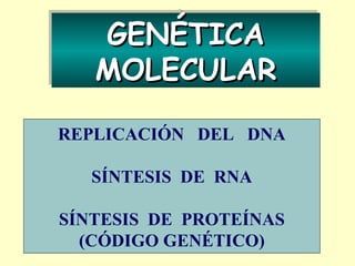 GENÉTICA
GENÉTICA
MOLECULAR
MOLECULAR
REPLICACIÓN DEL DNA
SÍNTESIS DE RNA
SÍNTESIS DE PROTEÍNAS
(CÓDIGO GENÉTICO)

 