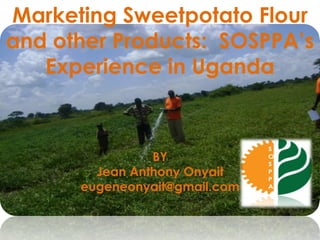 Marketing Sweetpotato Flour
and other Products: SOSPPA’s
Experience in Uganda
BY
Jean Anthony Onyait
eugeneonyait@gmail.com
 