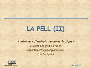 LA PELL (II) Anatomia i fisiologia humanes bàsiques Lourdes Sánchez Salvador Departament d’Imatge Personal IES Cal·lípolis 