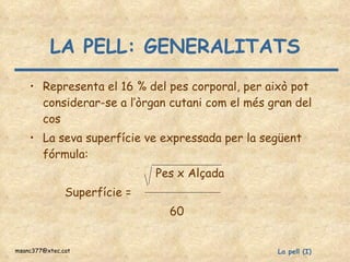 LA PELL: GENERALITATS Representa el 16 % del pes corporal, per això pot considerar-se a l’òrgan cutani com el més gran del cos La seva superfície ve expressada per la següent fórmula: Pes x Alçada  Superfície =  60 