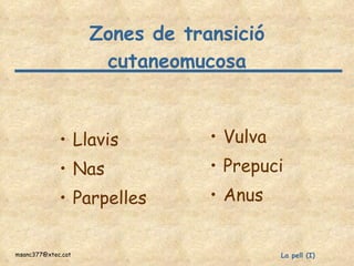 Zones de transició cutaneomucosa Llavis Nas Parpelles Vulva Prepuci Anus 