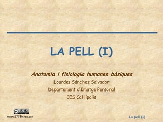 LA PELL (I) Anatomia i fisiologia humanes bàsiques Lourdes Sánchez Salvador Departament d’Imatge Personal IES Cal·lípolis 