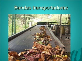 Bandas transportadoras 