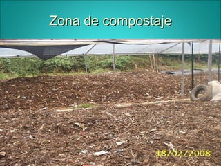 Zona de compostaje 
