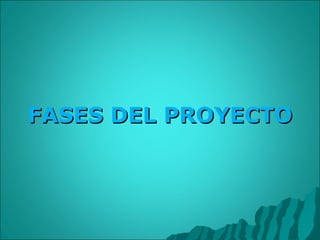 FASES DEL PROYECTO 