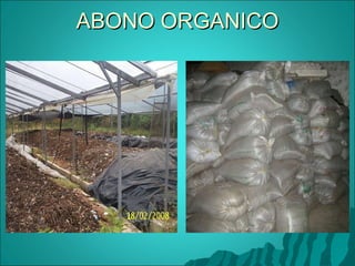 ABONO ORGANICO 