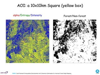 AOI: a 10x10km Square (yellow box) alpha / Entropy / Intensity Forest/Non-forest 