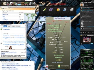 MyBlueStripe Communication 