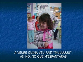 A VEURE QUINA VEU FAS? “MUUUUUU”  AI! NO, NO QUE M’ESPANTARAS 