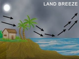 LAND BREEZE 
 