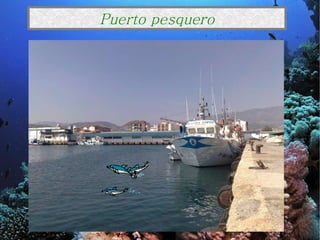 Puerto pesquero 