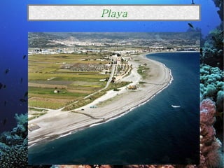 Playa 