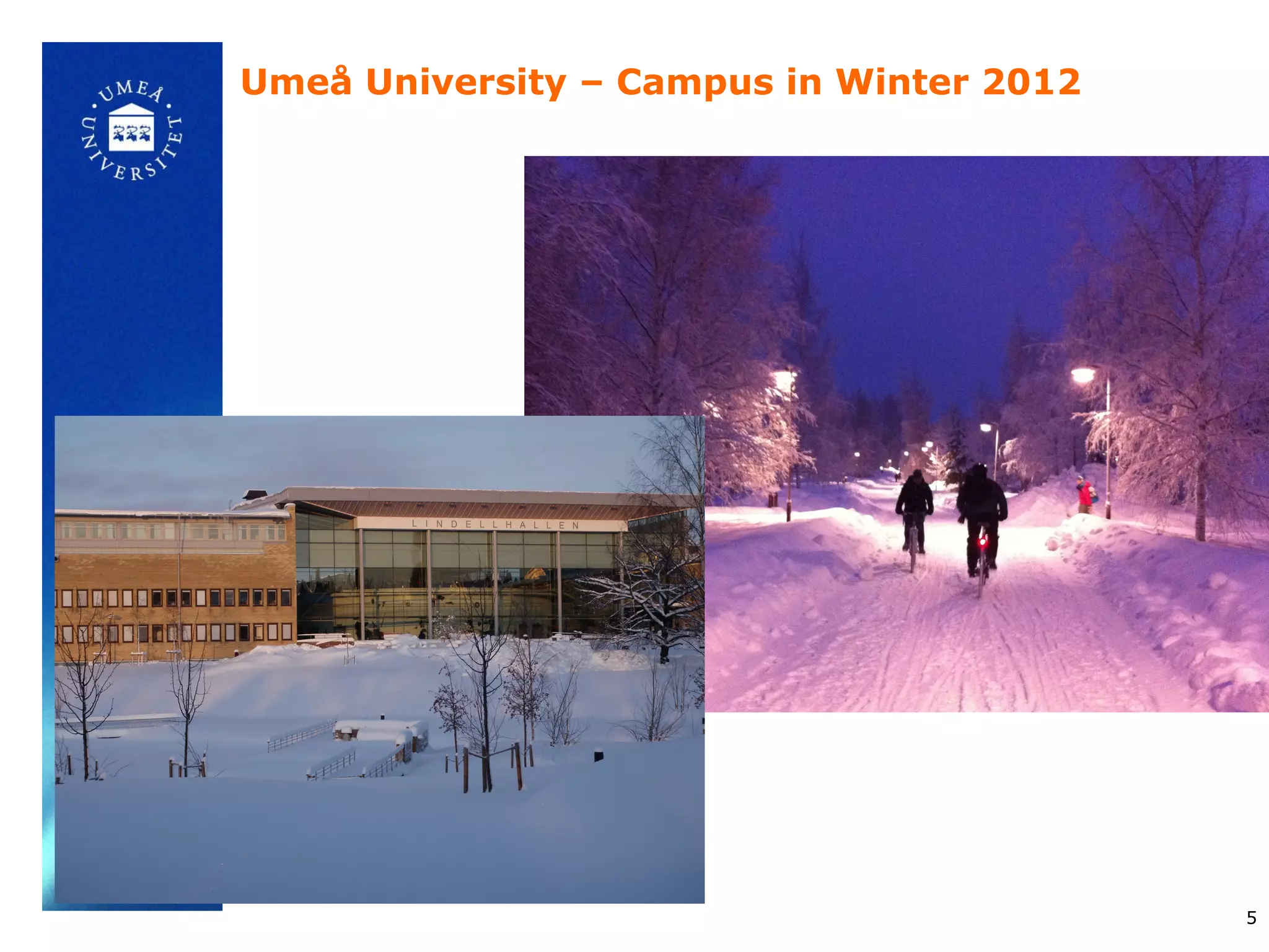 Umeå University – Campus in Winter 2012




                                          5
 