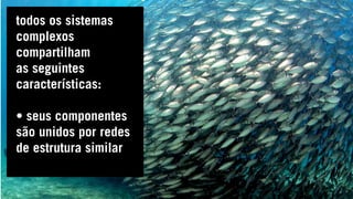 todos os sistemas
complexos
compartilham
as seguintes
características:
• seus componentes
são unidos por redes
de estrutura similar
 