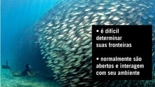 • é difícil
determinar
suas fronteiras
• normalmente são
abertos e interagem
com seu ambiente
 