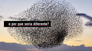 e por que seria diferente?
 