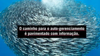 O caminho para o auto-gerenciamento
é pavimentado com informação.
 