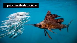 para manifestar a rede
 