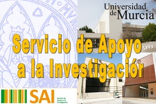 Universidad
 de
   Murcia
 