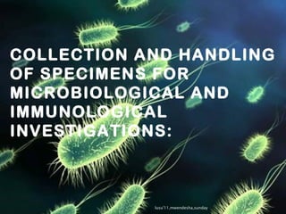 COLLECTION AND HANDLING OF SPECIMENS FOR MICROBIOLOGICAL AND IMMUNOLOGICAL INVESTIGATIONS: lusu'11,mwendesha,sunday 