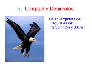 2.  El Metro: Múltiplos y Submúltiplos. Los múltiplos son: el km, el hm y el dam. 