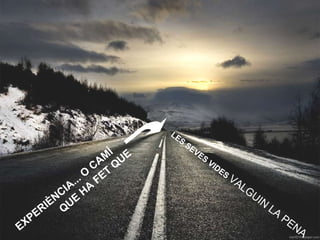 QUE HA FET QUE   EXPERIÈNCIA... O CAMÍ LES SEVES VIDES  VALGUIN LA PENA 