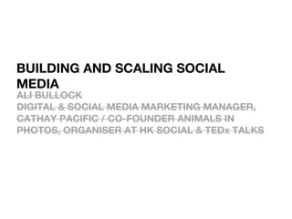 BUILDING AND SCALING SOCIAL
MEDIA
ALI BULLOCK
DIGITAL & SOCIAL MEDIA MARKETING MANAGER,
CATHAY PACIFIC / CO-FOUNDER ANIMALS IN
PHOTOS, ORGANISER AT HK SOCIAL & TEDx TALKS
 