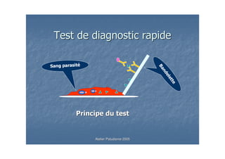 ,




    Atelier Paludisme 2005
 