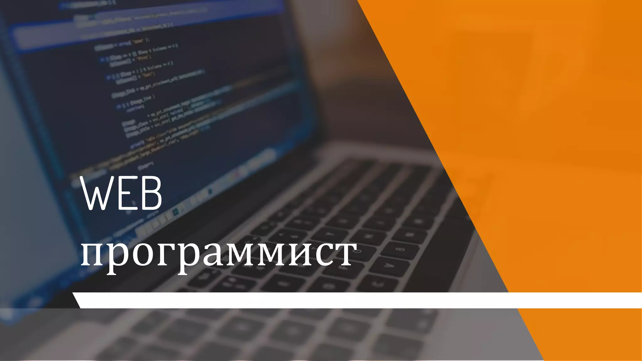 WEB
программист