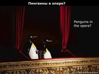 Penguins in the opera? Пингвины в опере ? 