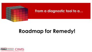 From a diagnostic tool to a…
Roadmap for Remedy!
 