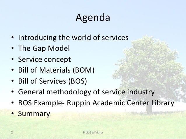 04 2015 2 agenda introducing the world of services