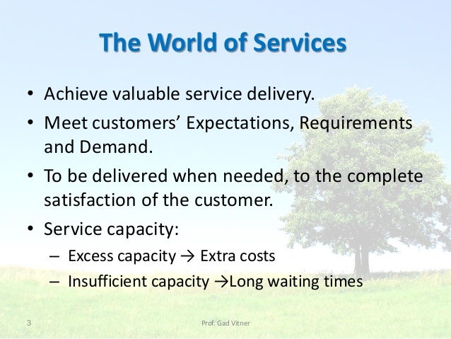 gad vitner2 3 the world of services