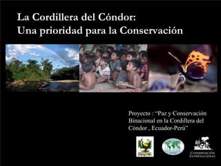 La Cordillera del Cóndor:
Una prioridad para la Conservación




                      Proyecto : “Paz y Conservación
                      Binacional en la Cordillera del
                      Cóndor , Ecuador-Perú”
 