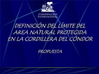 DEFINICIÓN DEL LÍMITE DEL
  AREA NATURAL PROTEGIDA
EN LA CORDILLERA DEL CÓNDOR

         PROPUESTA
 