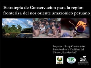 Estrategia de Conservacion para la region
fronteriza del nor oriente amazonico peruano




                         Proyecto : “Paz y Conservación
                         Binacional en la Cordillera del
                         Cóndor , Ecuador-Perú”
 