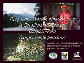 Paz y Conservación Binacional en
     la Cordillera del Cóndor
          Ecuador-Perú
     (componente peruano)
                  Avances en el proceso de creacion un
                  area natural protegida en la frontera
                  peruano – ecuatoriana.
 