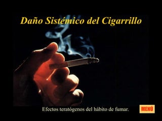 Daño Sistémico del Cigarrillo




     Efectos teratógenos del hábito de fumar.   MENÚ
 