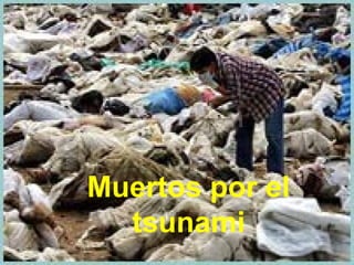 Muertos por el
tsunami
 