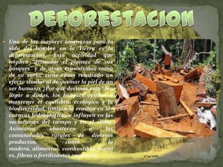 Deforestacion