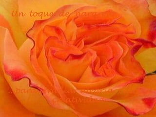 Un  toque  de  naranja... ...para irradiar alegria, calor y creatividad 