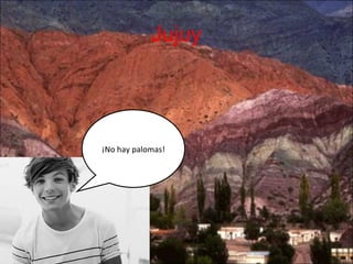 Jujuy

¡No hay palomas!

 