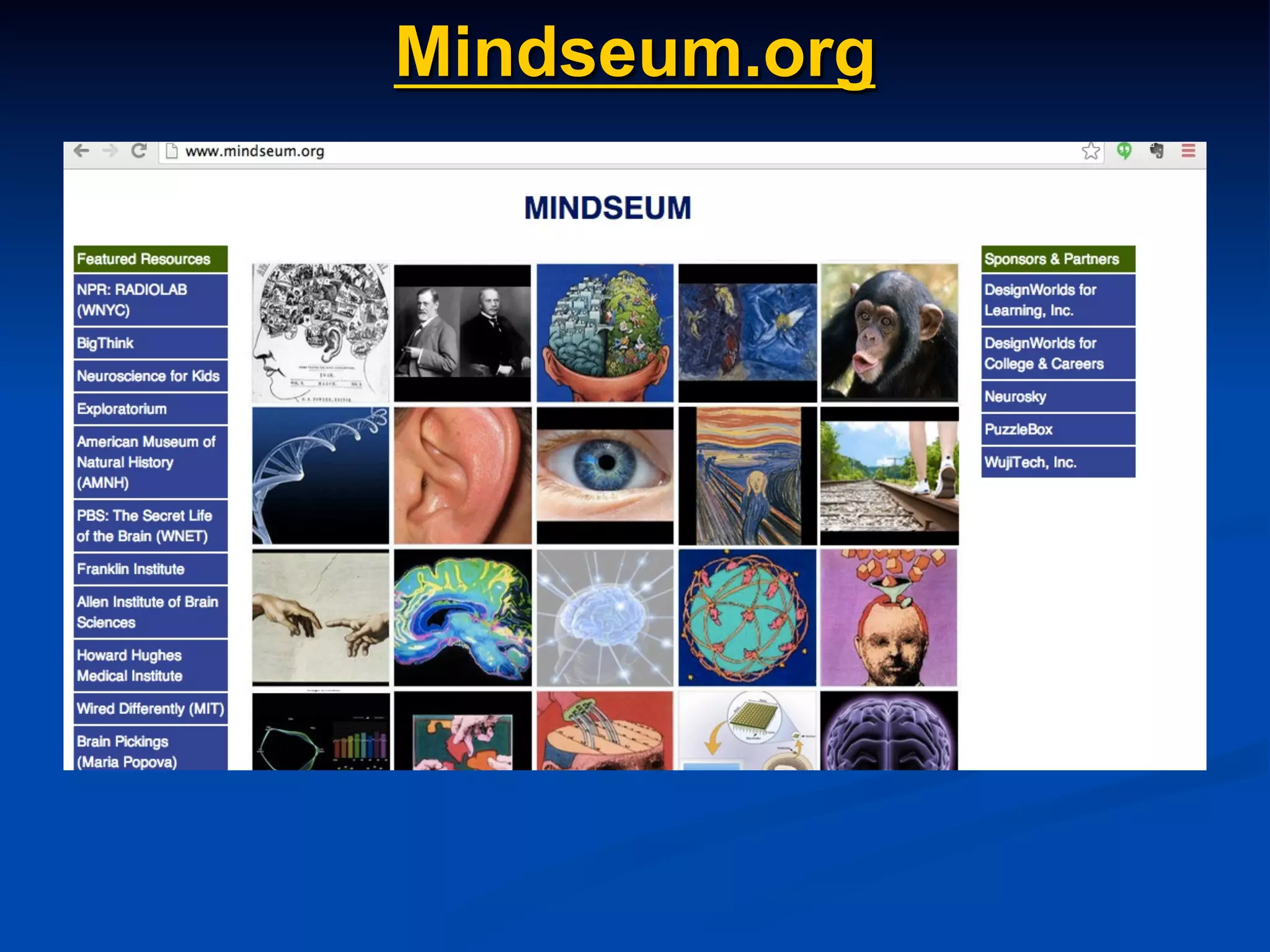 Mindseum.org
 