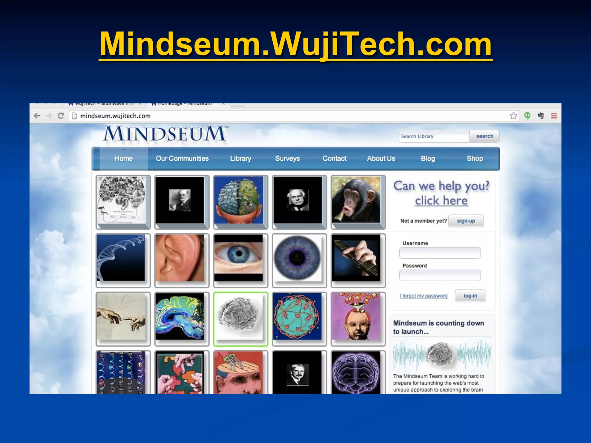 Mindseum.WujiTech.com
 