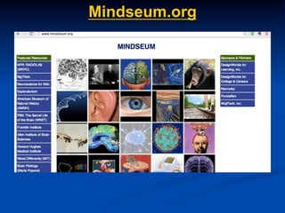 Mindseum.org
 
