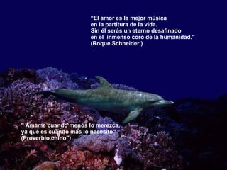 “ El amor es la mejor música en la partitura de la vida. Sin él serás un eterno desafinado  en el  inmenso coro de la humanidad." (Roque Schneider ) " Ámame cuando menos lo merezca,  ya que es cuando más lo necesito"  (Proverbio chino") 