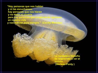 "Hay personas que nos hablan   y ni las escuchamos;   hay personas que nos hieren   y no dejan ni cicatriz   pero hay personas que simplemente aparecen   en nuestra vida  y nos marcan para siempre."  (Cecília Meireles)    La verdadera filosofía  es reaprender a ver el mundo.   (Merleau-Ponty ) 