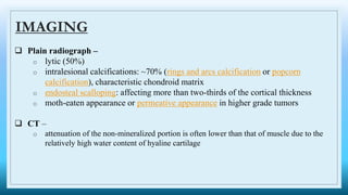  Plain radiograph –
o lytic (50%)
o intralesional calcifications: ~70% (rings and arcs calcification or popcorn
calcification), characteristic chondroid matrix
o endosteal scalloping: affecting more than two-thirds of the cortical thickness
o moth-eaten appearance or permeative appearance in higher grade tumors
 CT –
o attenuation of the non-mineralized portion is often lower than that of muscle due to the
relatively high water content of hyaline cartilage
IMAGING
 