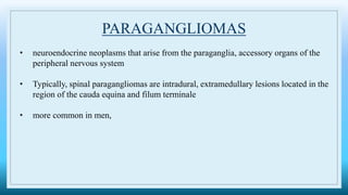PARAGANGLIOMAS
• neuroendocrine neoplasms that arise from the paraganglia, accessory organs of the
peripheral nervous system
• Typically, spinal paragangliomas are intradural, extramedullary lesions located in the
region of the cauda equina and filum terminale
• more common in men,
 