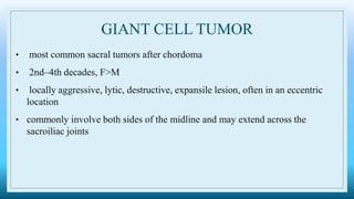 GIANT CELL TUMOR
• most common sacral tumors after chordoma
• 2nd–4th decades, F>M
• locally aggressive, lytic, destructive, expansile lesion, often in an eccentric
location
• commonly involve both sides of the midline and may extend across the
sacroiliac joints
 